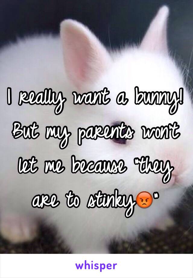 I really want a bunny! But my parents won't let me because "they are to stinky😡" 