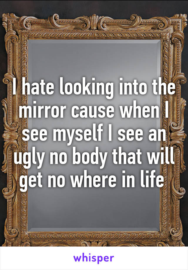 I hate looking into the mirror cause when I see myself I see an ugly no body that will get no where in life 