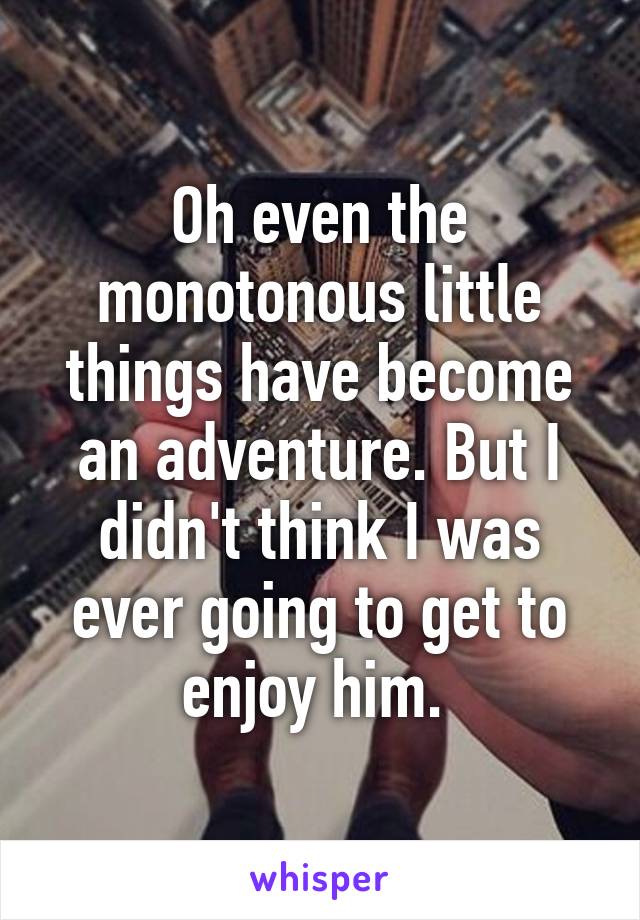 Oh even the monotonous little things have become an adventure. But I didn't think I was ever going to get to enjoy him. 