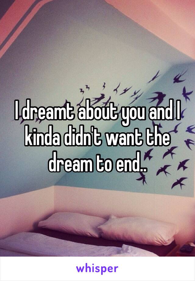 I dreamt about you and I kinda didn't want the dream to end..