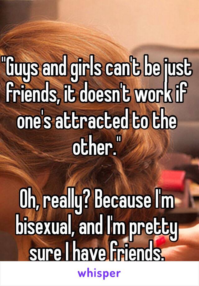 "Guys and girls can't be just friends, it doesn't work if one's attracted to the other."

Oh, really? Because I'm bisexual, and I'm pretty sure I have friends.