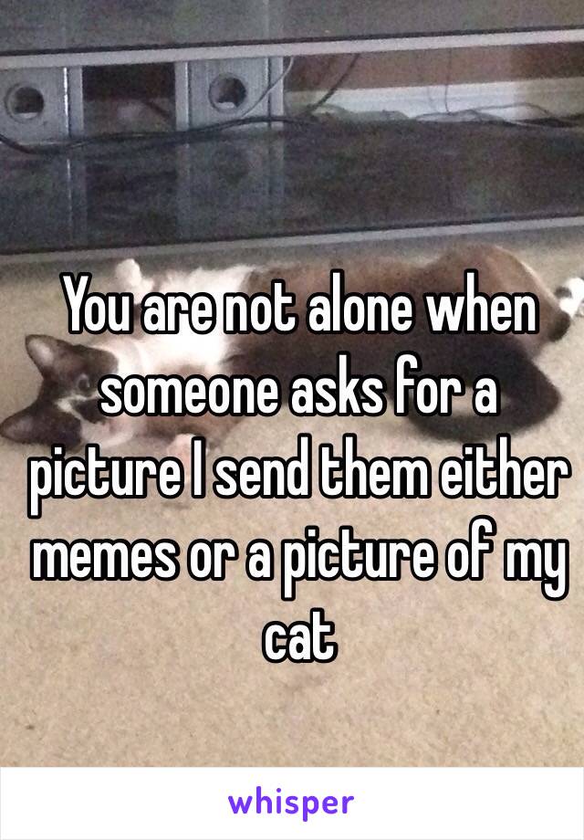 You are not alone when someone asks for a picture I send them either memes or a picture of my cat