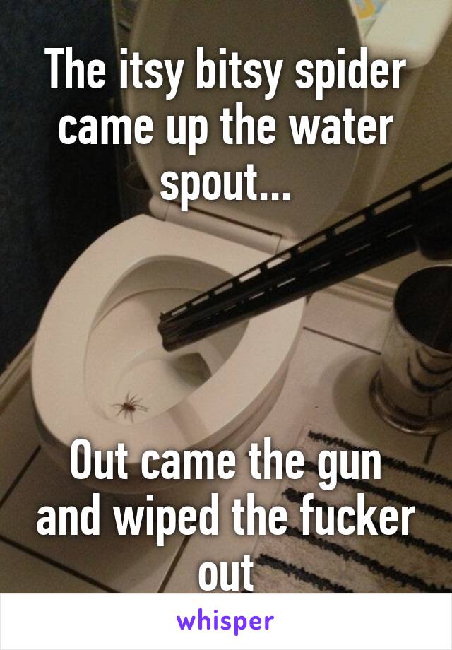 The itsy bitsy spider came up the water spout...




Out came the gun and wiped the fucker out