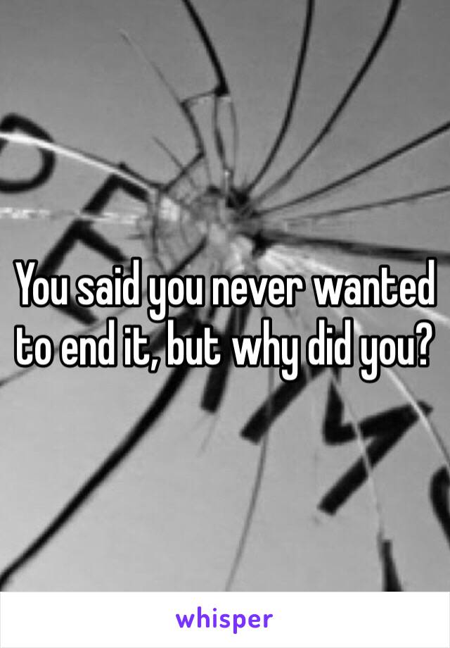 You said you never wanted to end it, but why did you?