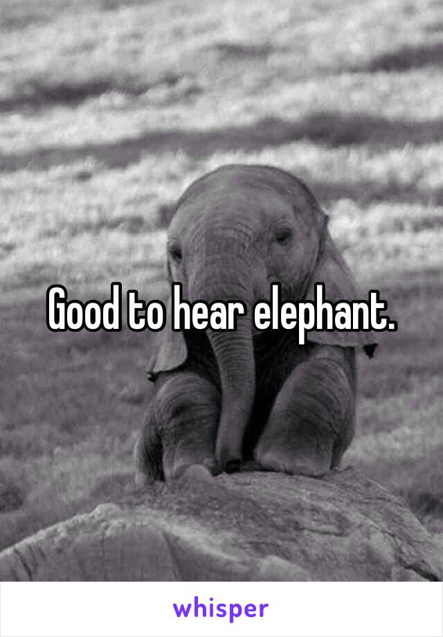 Good to hear elephant.