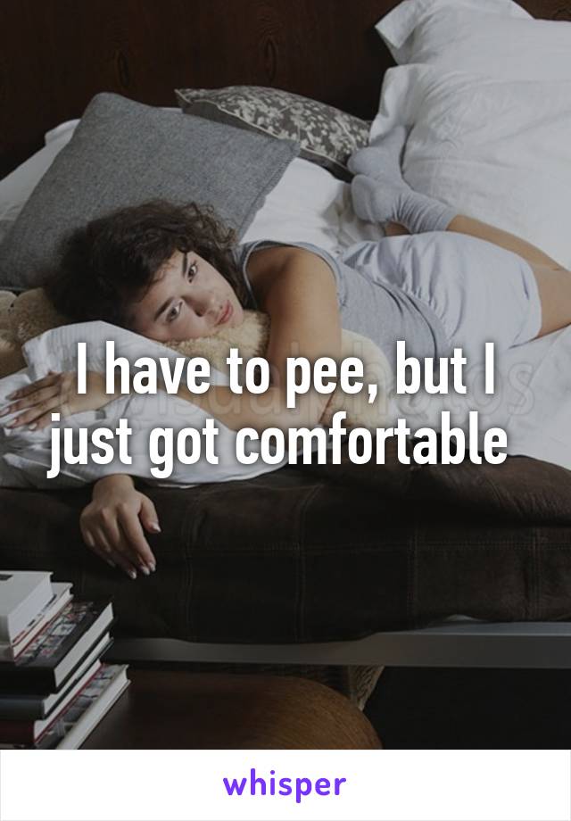 I have to pee, but I just got comfortable 