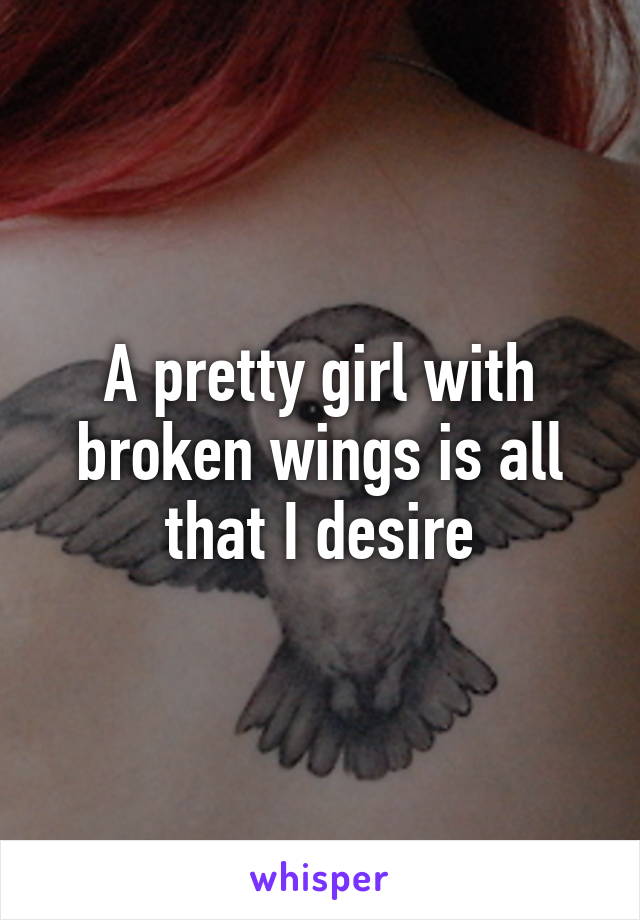 A pretty girl with broken wings is all that I desire