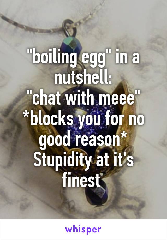 "boiling egg" in a nutshell:
"chat with meee"
*blocks you for no good reason*
Stupidity at it's finest 