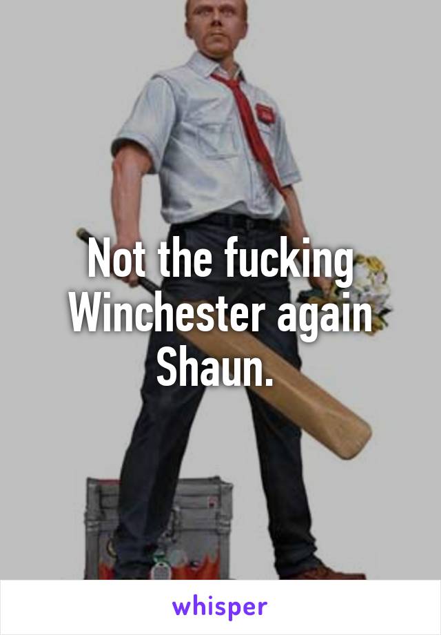 Not the fucking Winchester again Shaun. 