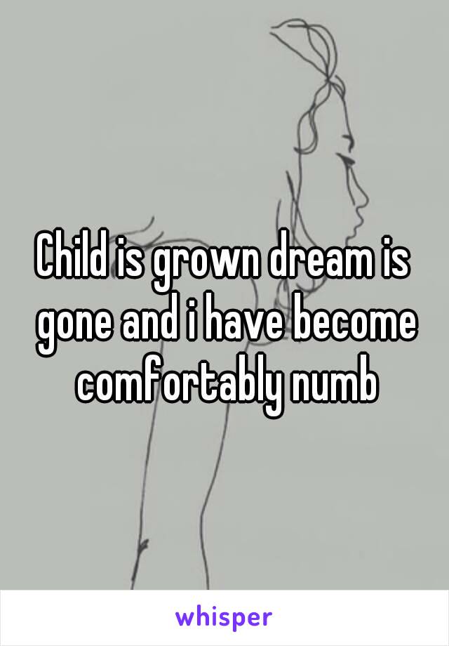 Child is grown dream is gone and i have become comfortably numb