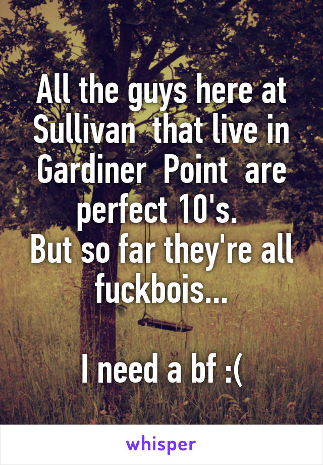 All the guys here at Sullivan  that live in Gardiner  Point  are perfect 10's. 
But so far they're all fuckbois...

I need a bf :(