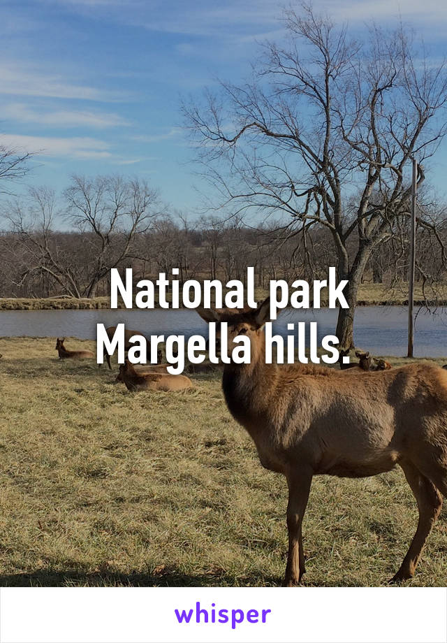  National park Margella hills.