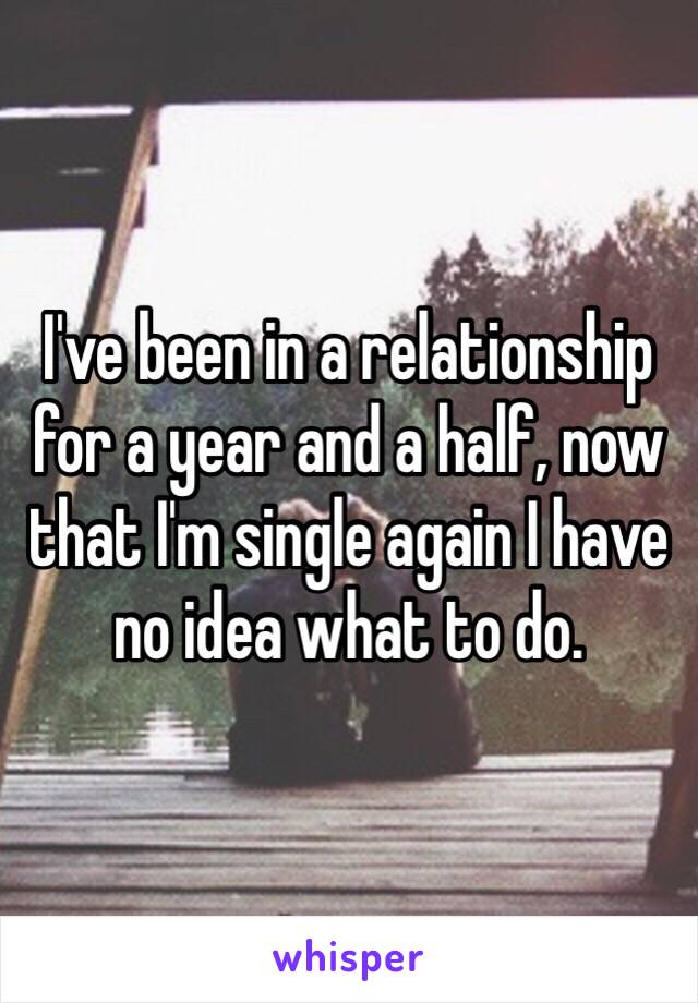 I've been in a relationship for a year and a half, now that I'm single again I have no idea what to do. 