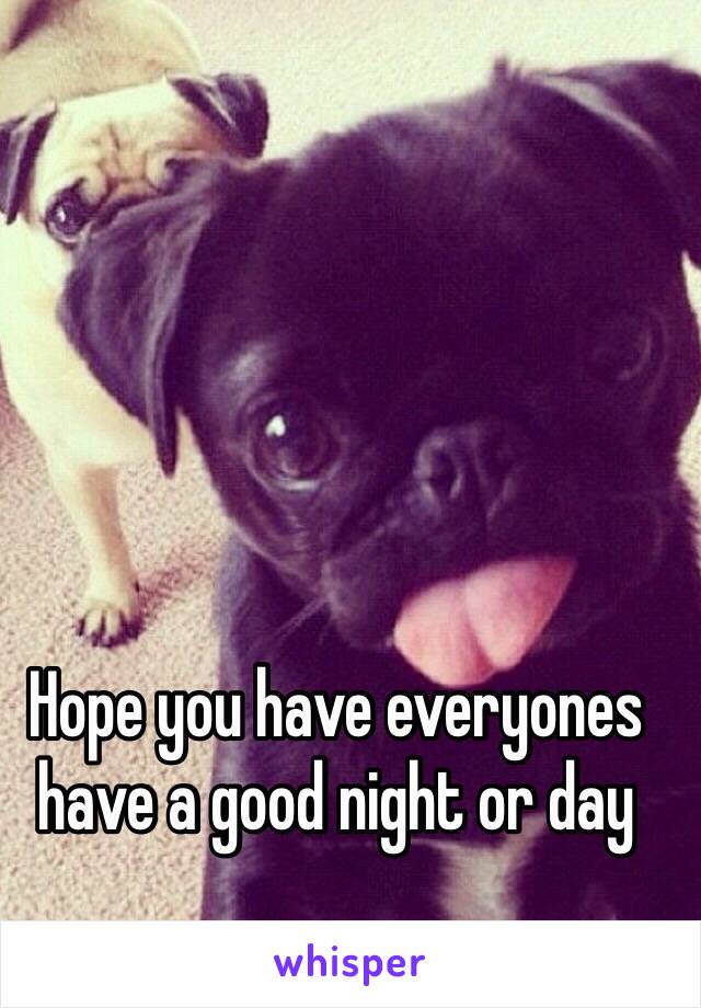 Hope you have everyones have a good night or day 