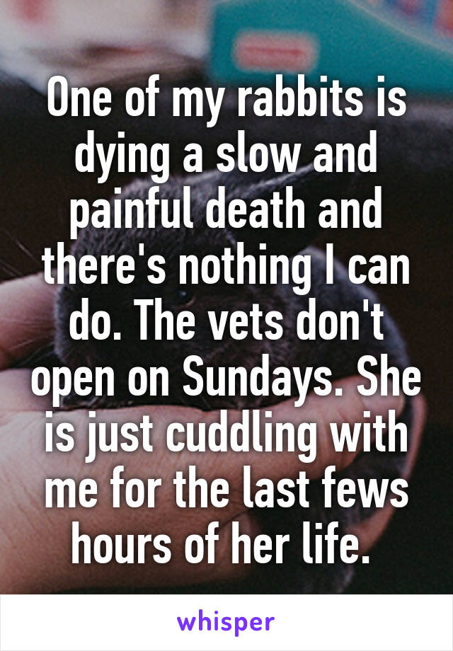 One of my rabbits is dying a slow and painful death and there's nothing I can do. The vets don't open on Sundays. She is just cuddling with me for the last fews hours of her life. 