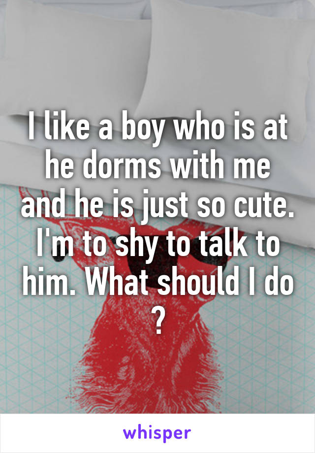 I like a boy who is at he dorms with me and he is just so cute. I'm to shy to talk to him. What should I do ?