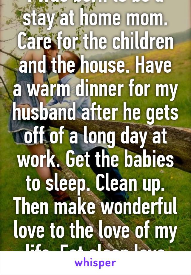 I was born to be a stay at home mom. Care for the children and the house. Have a warm dinner for my husband after he gets off of a long day at work. Get the babies to sleep. Clean up. Then make wonderful love to the love of my life. Eat sleep love repeat. 