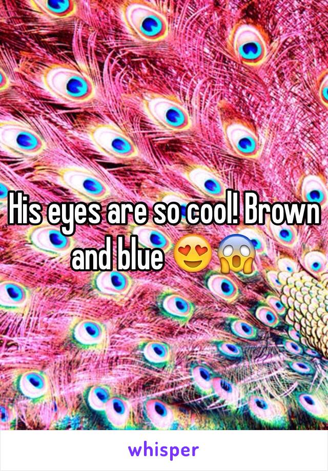 His eyes are so cool! Brown and blue 😍😱