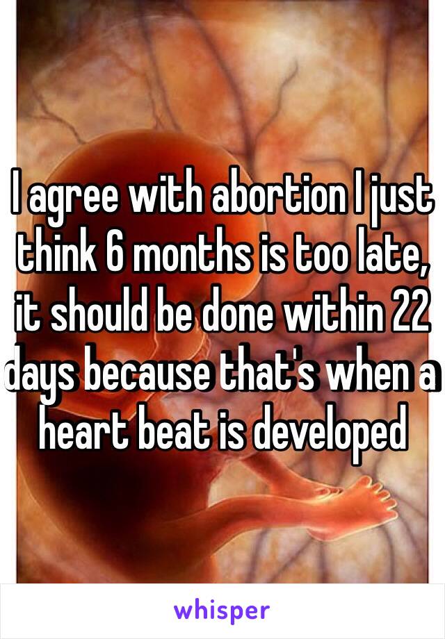 I agree with abortion I just think 6 months is too late, it should be done within 22 days because that's when a heart beat is developed 