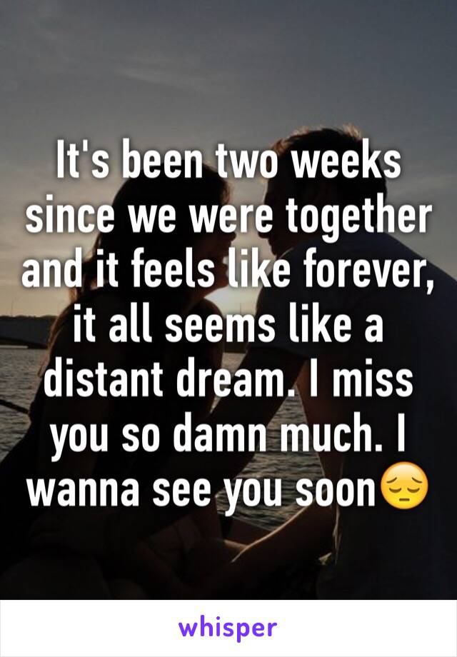 It's been two weeks since we were together and it feels like forever, it all seems like a distant dream. I miss you so damn much. I wanna see you soon😔