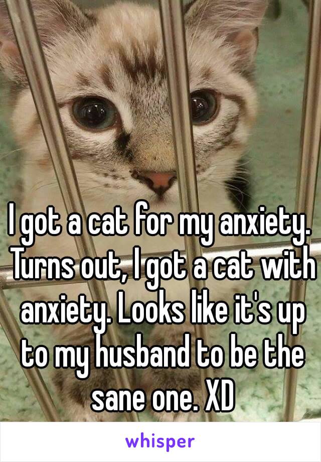 I got a cat for my anxiety. Turns out, I got a cat with anxiety. Looks like it's up to my husband to be the sane one. XD