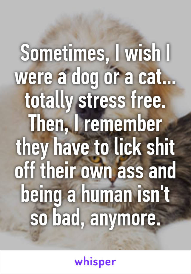 Sometimes, I wish I were a dog or a cat... totally stress free.
Then, I remember they have to lick shit off their own ass and being a human isn't so bad, anymore.