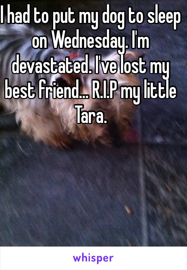 I had to put my dog to sleep on Wednesday. I'm devastated. I've lost my best friend... R.I.P my little Tara. 
