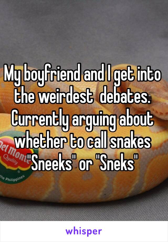 My boyfriend and I get into the weirdest  debates. Currently arguing about whether to call snakes "Sneeks" or "Sneks"