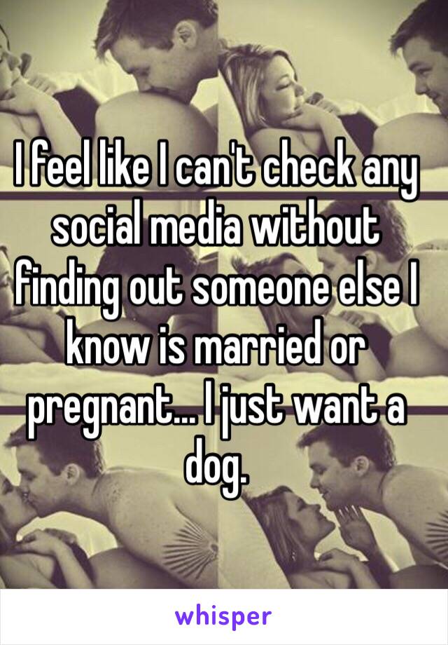 I feel like I can't check any social media without finding out someone else I know is married or pregnant... I just want a dog.