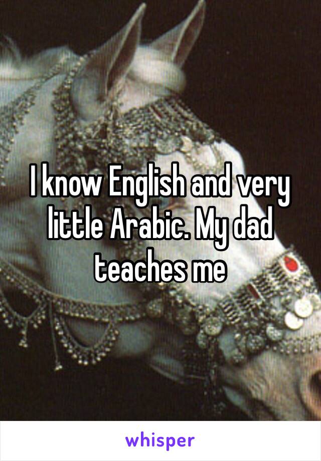 I know English and very little Arabic. My dad teaches me 