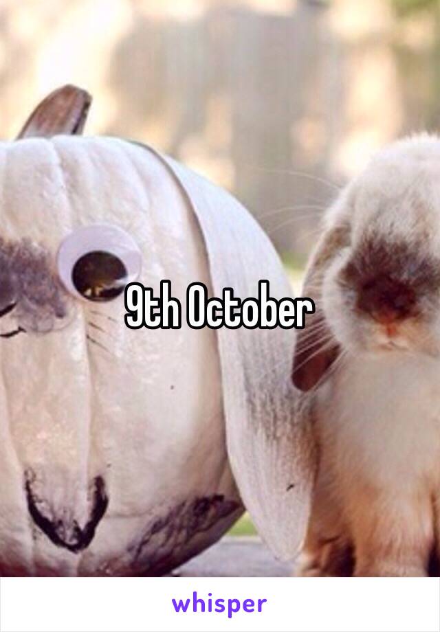 9th October 