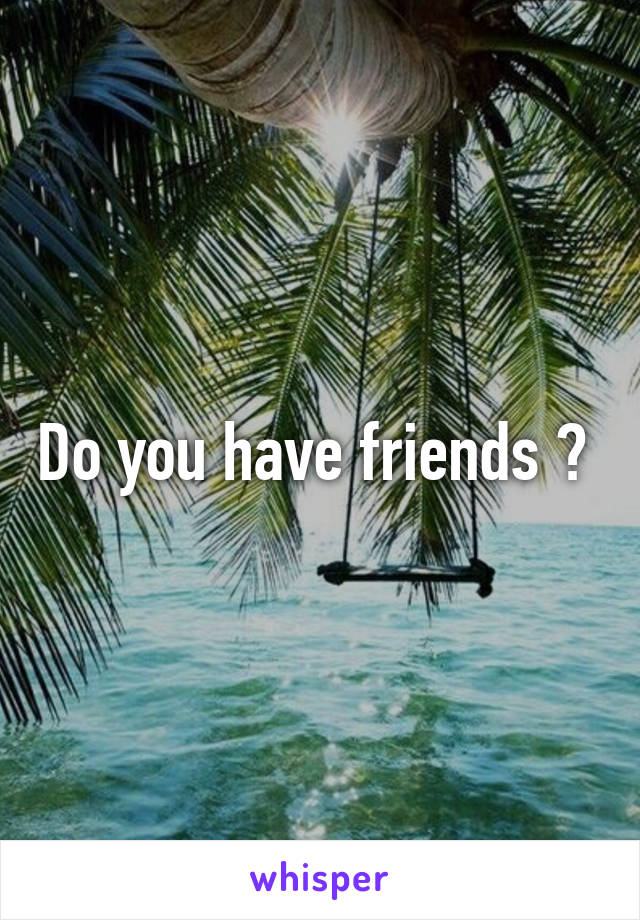 Do you have friends ? 