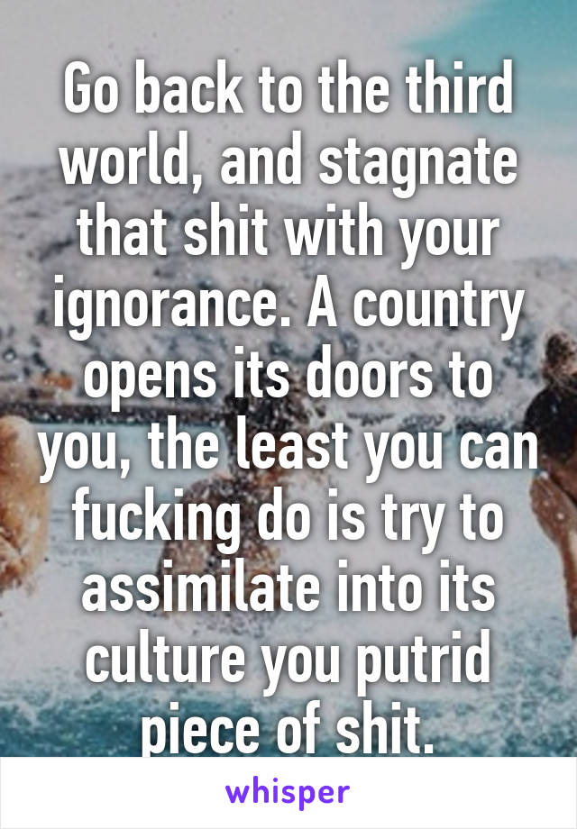 Go back to the third world, and stagnate that shit with your ignorance. A country opens its doors to you, the least you can fucking do is try to assimilate into its culture you putrid piece of shit.