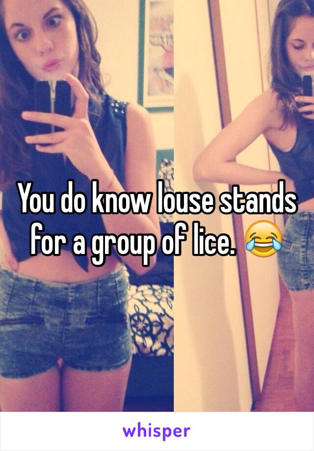 You do know louse stands for a group of lice. 😂