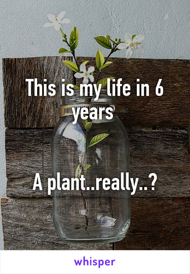 This is my life in 6 years 


A plant..really..?