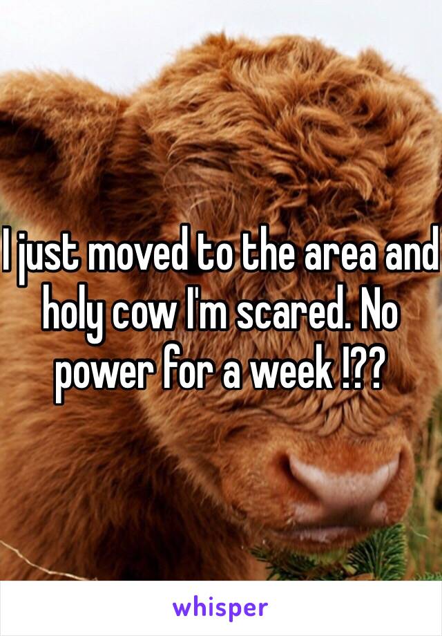 I just moved to the area and holy cow I'm scared. No power for a week !??