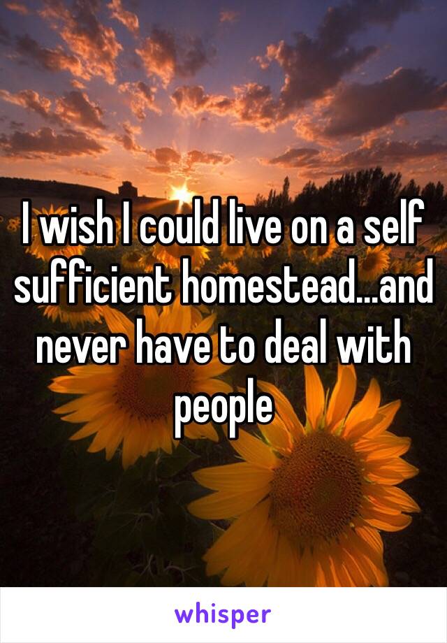 I wish I could live on a self sufficient homestead...and never have to deal with people