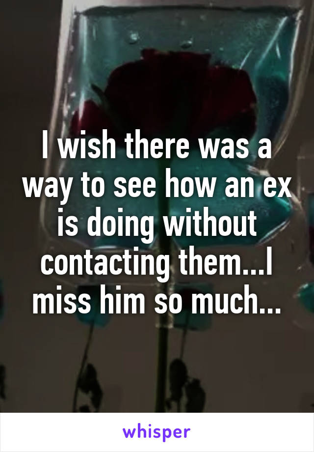 I wish there was a way to see how an ex is doing without contacting them...I miss him so much...