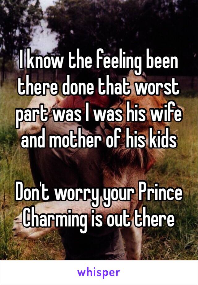 I know the feeling been there done that worst part was I was his wife and mother of his kids 

Don't worry your Prince Charming is out there 