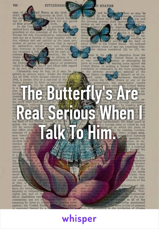 The Butterfly's Are Real Serious When I Talk To Him. 