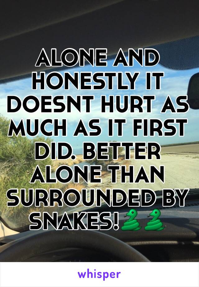 ALONE AND HONESTLY IT DOESNT HURT AS MUCH AS IT FIRST DID. BETTER ALONE THAN SURROUNDED BY SNAKES!🐍🐍