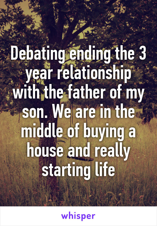 Debating ending the 3 year relationship with the father of my son. We are in the middle of buying a house and really starting life