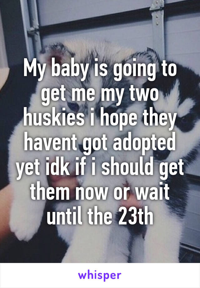 My baby is going to get me my two huskies i hope they havent got adopted yet idk if i should get them now or wait until the 23th