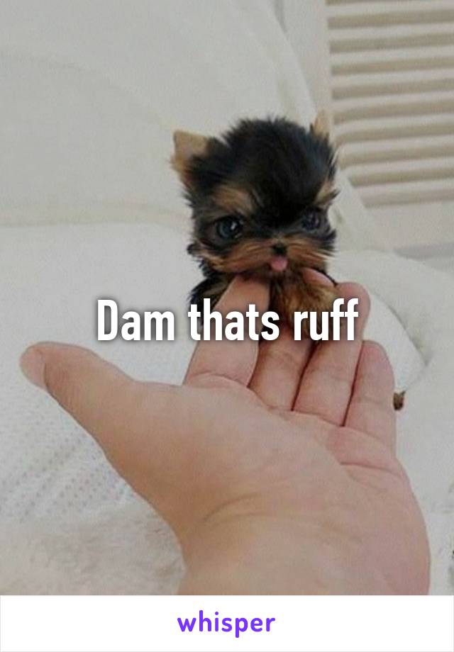 Dam thats ruff