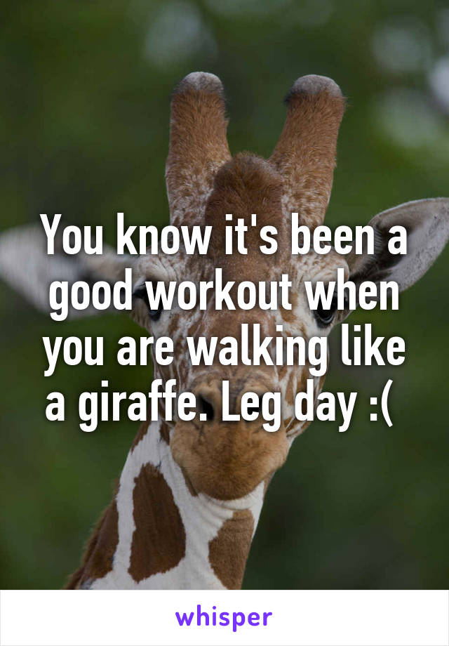 You know it's been a good workout when you are walking like a giraffe. Leg day :( 