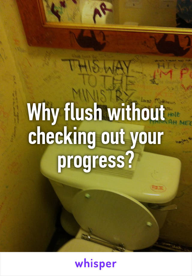 Why flush without checking out your progress?