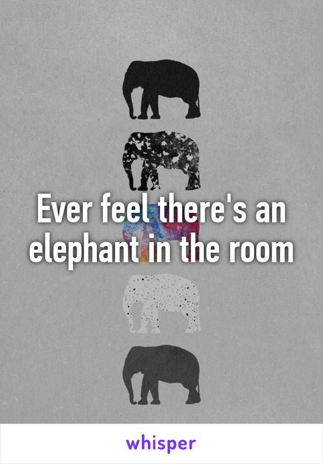 Ever feel there's an elephant in the room