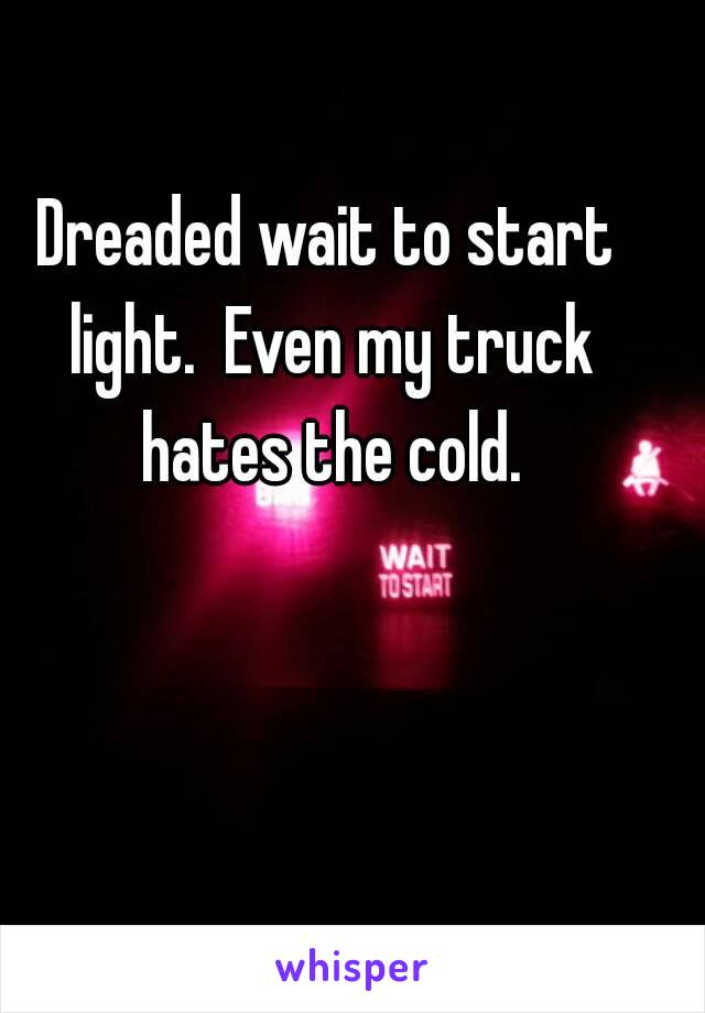 Dreaded wait to start light.  Even my truck hates the cold.
