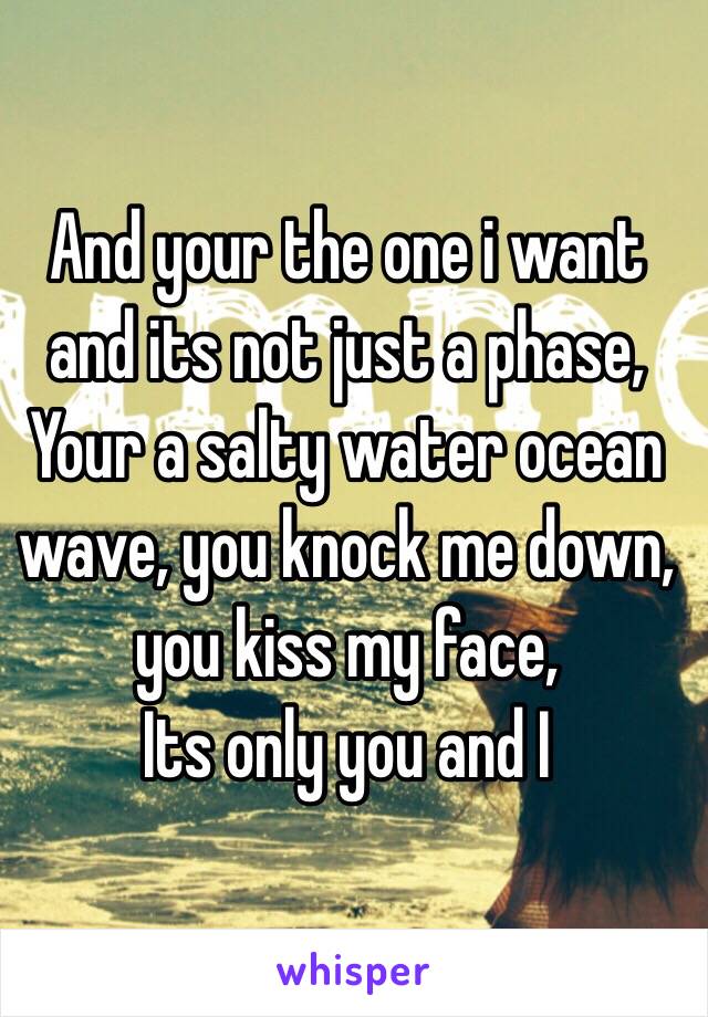 And your the one i want and its not just a phase, 
Your a salty water ocean wave, you knock me down, you kiss my face, 
Its only you and I 