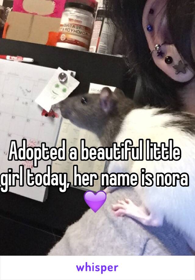 Adopted a beautiful little girl today, her name is nora 💜
